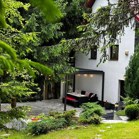 Mountain Chalet - Cabana La Muntele Baisorii Muntele Cacovei  Eksteriør bilde