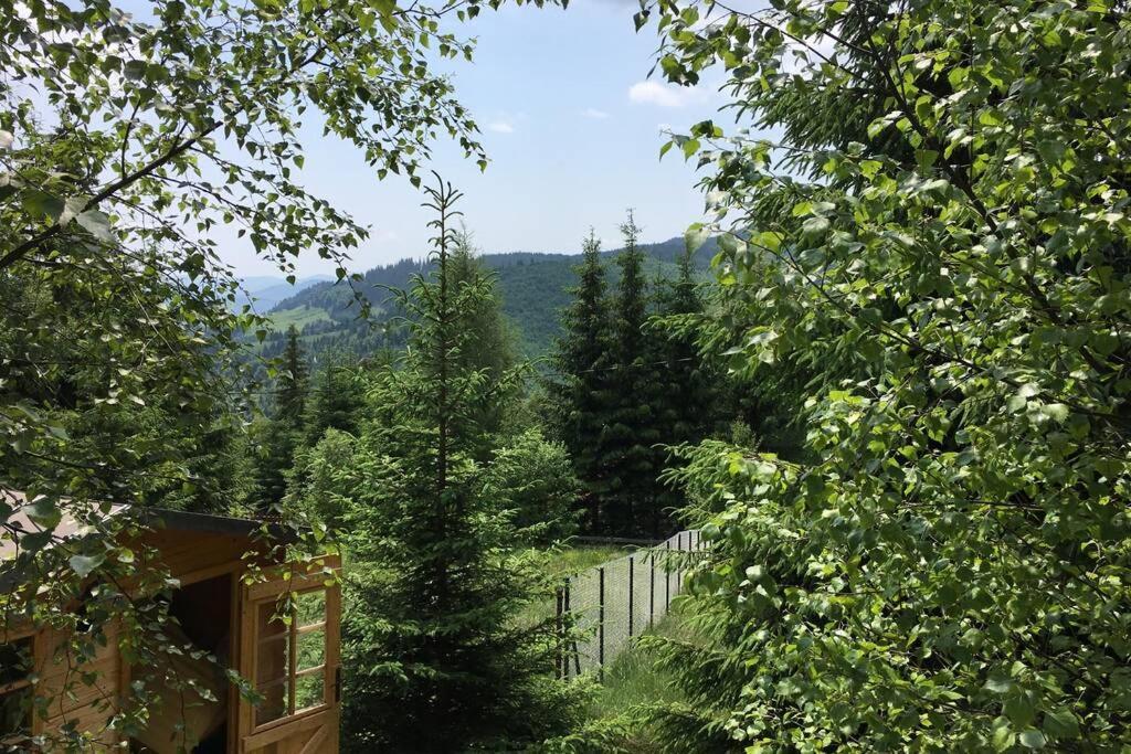 Mountain Chalet - Cabana La Muntele Baisorii Muntele Cacovei  Eksteriør bilde