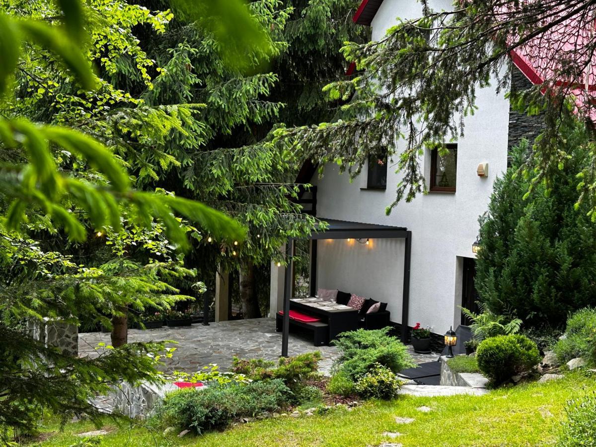 Mountain Chalet - Cabana La Muntele Baisorii Muntele Cacovei  Eksteriør bilde